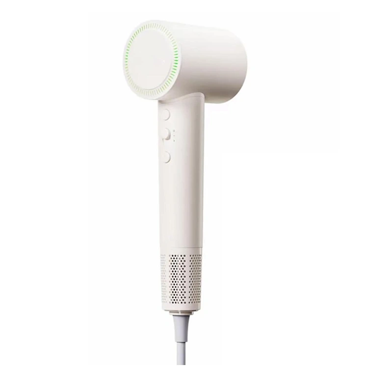 Negative Ion High-Speed Hair Dryer